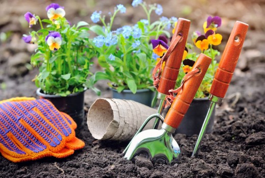 Gardening & Tools Boom