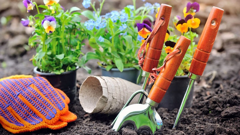 Gardening & Tools Boom Gardening & Tools Boom